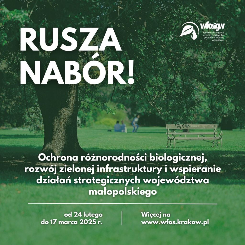 Grafika dekoracyjna nt. Ochrona różnorodności biologicznej, rozwój zielonej infrastruktury i wspieranie działań strategicznych województwa małopolskiego